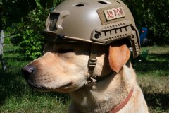 Ops Core FAST Base Jump Military Helmet